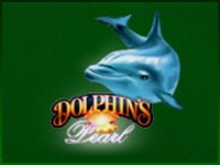 Dolphins Pearl