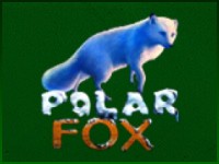 Polar Fox